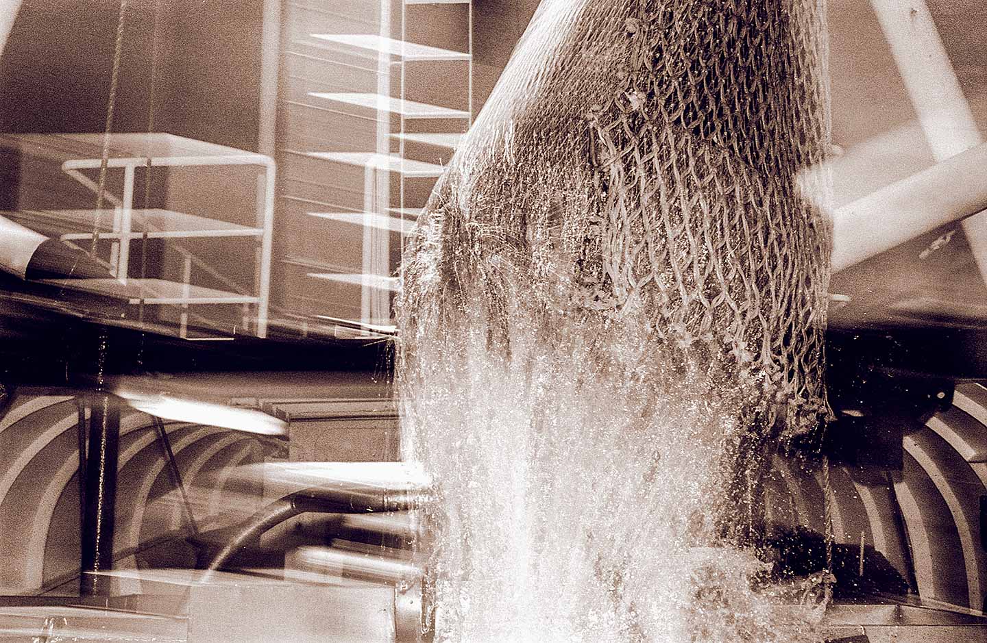 06_krabben_oliver-poppke