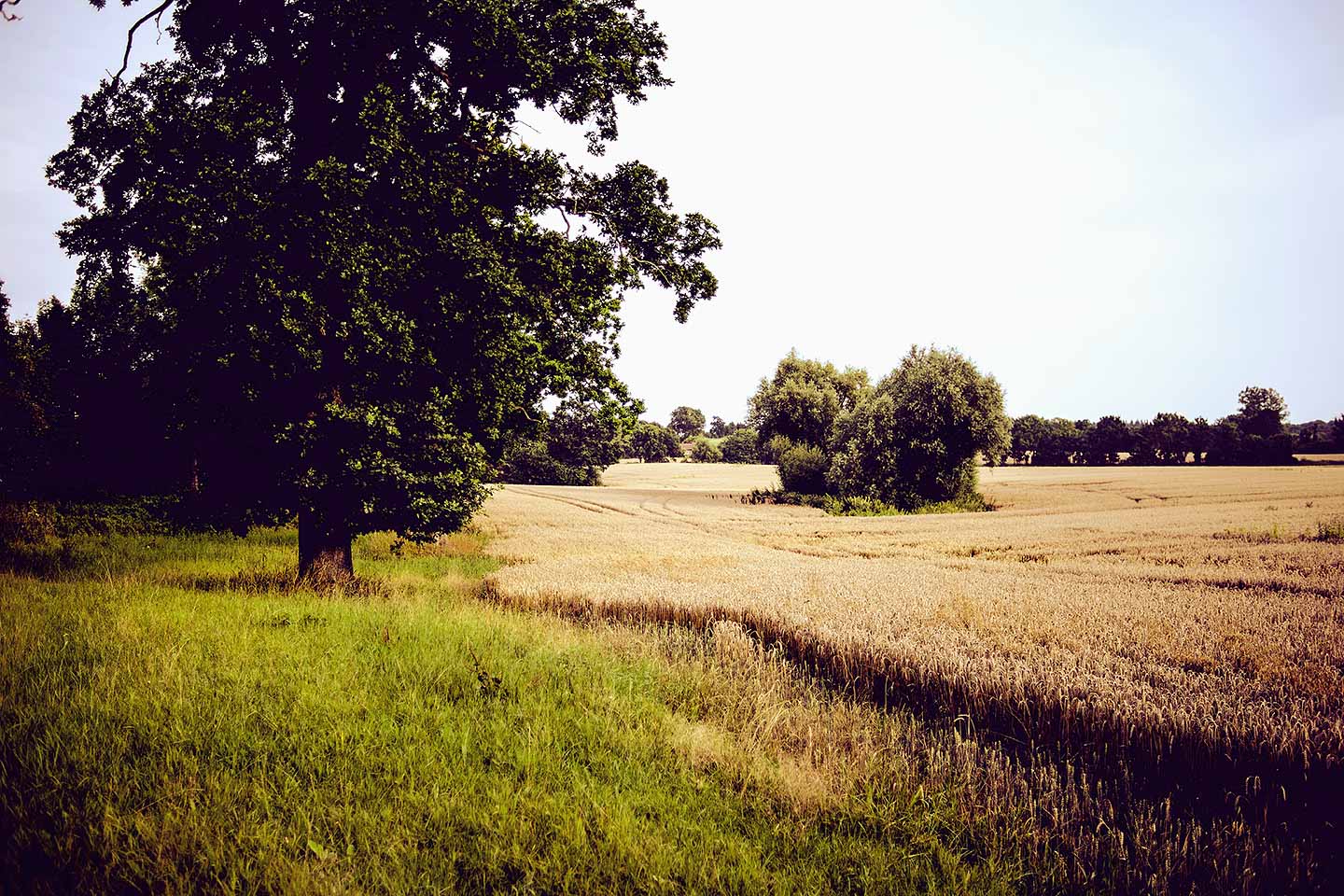 08bully-love_oliver-poppke