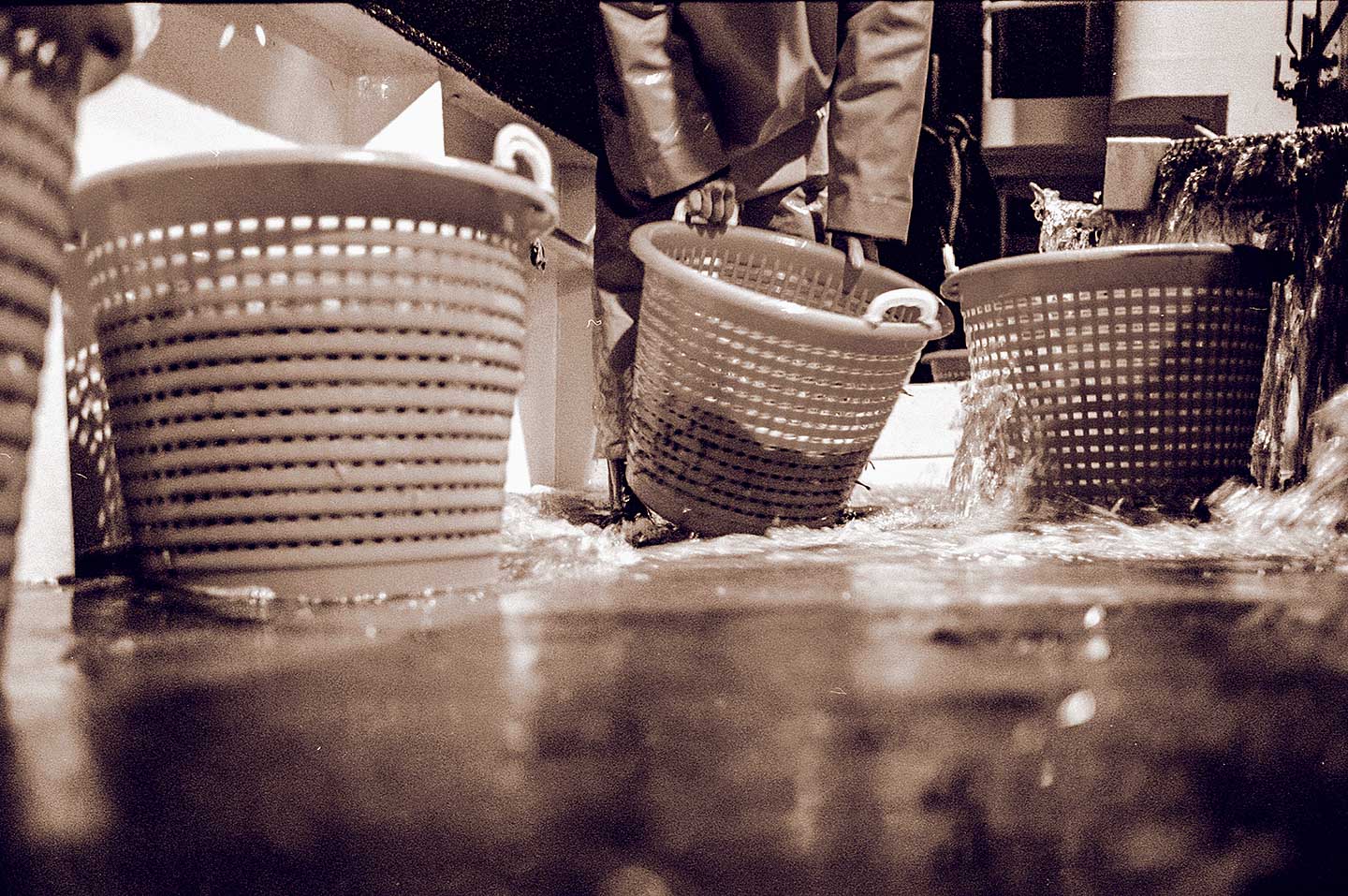 12_krabben_oliver-poppke